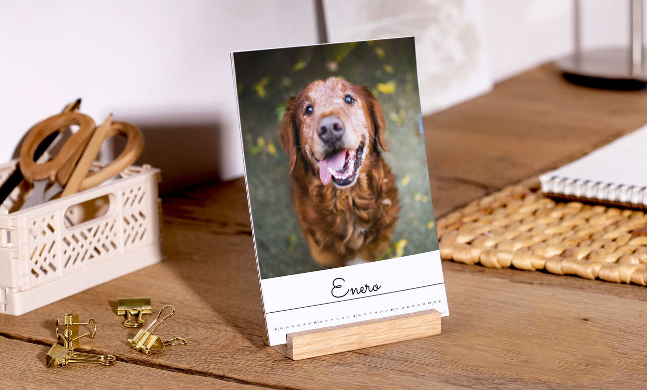 A happy dog with brown fur smiles on a table. The dog stands in nature looking friendly. Dog's name: Enna.